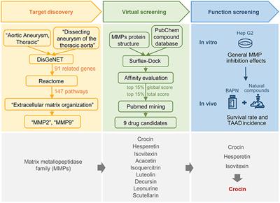 Artificial Intelligence Uncovers Natural MMP Inhibitor Crocin as a Potential Treatment of Thoracic Aortic Aneurysm and Dissection